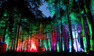 Electric_Forest_Festival